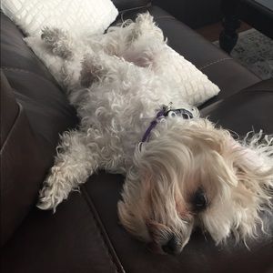 Meet your Posher, Chris